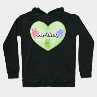 he/they pronouns Hoodie